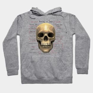 anatomy of human skull skeleton Hoodie